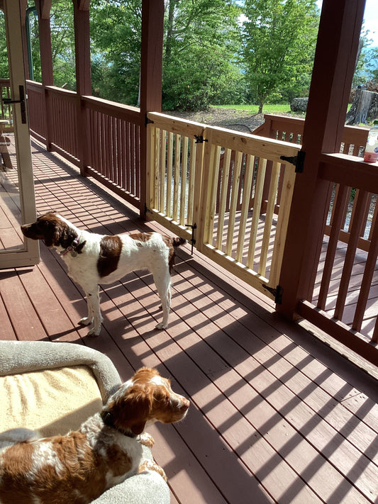 Two dogs standing behind a custom wooden patio gate made by Oak Street Gates. 