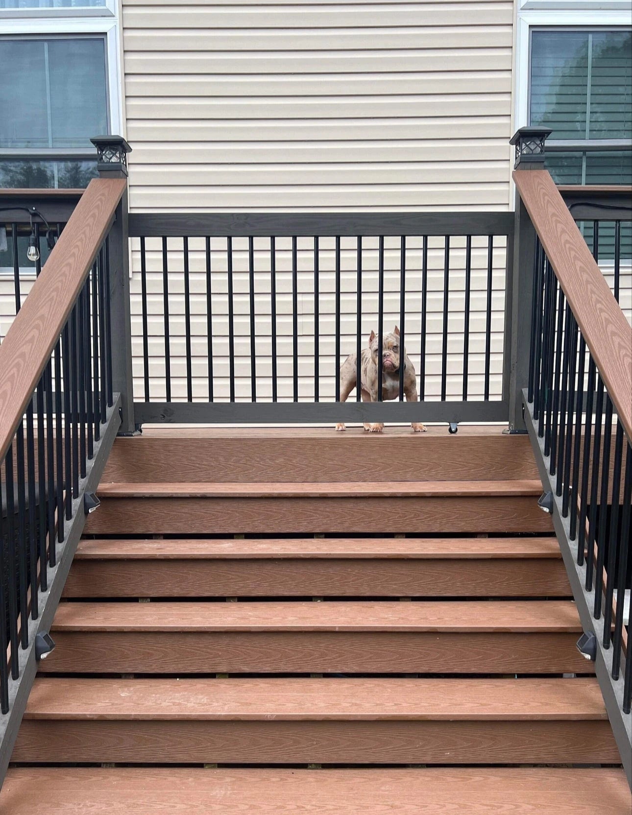 Aluminum Baluster Patio Gates – Oak Street Gates