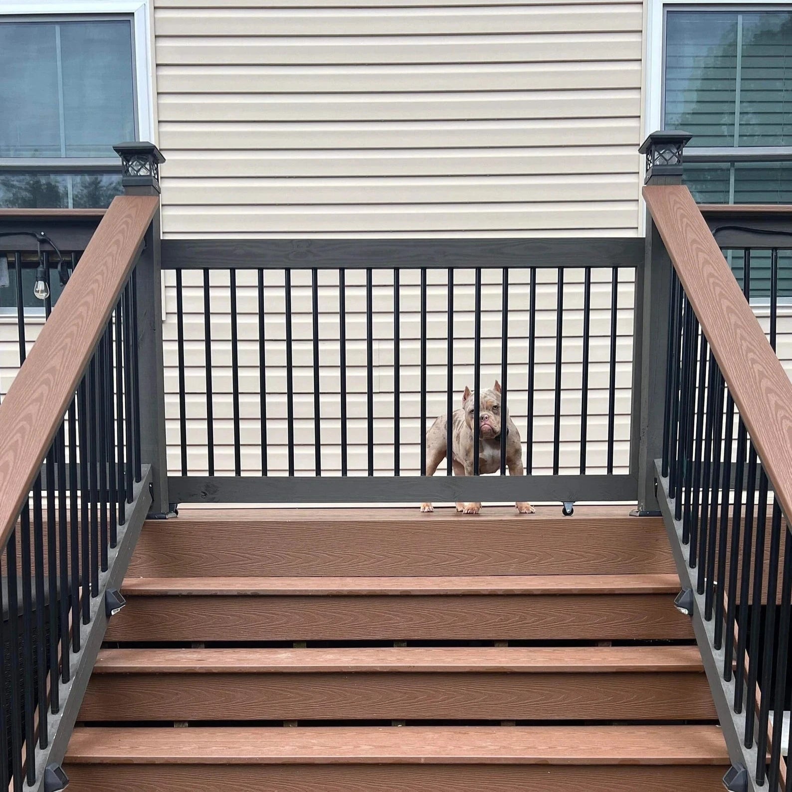 Aluminum Baluster Patio Gate – Durable Outdoor Gate for Decks & Patios ...